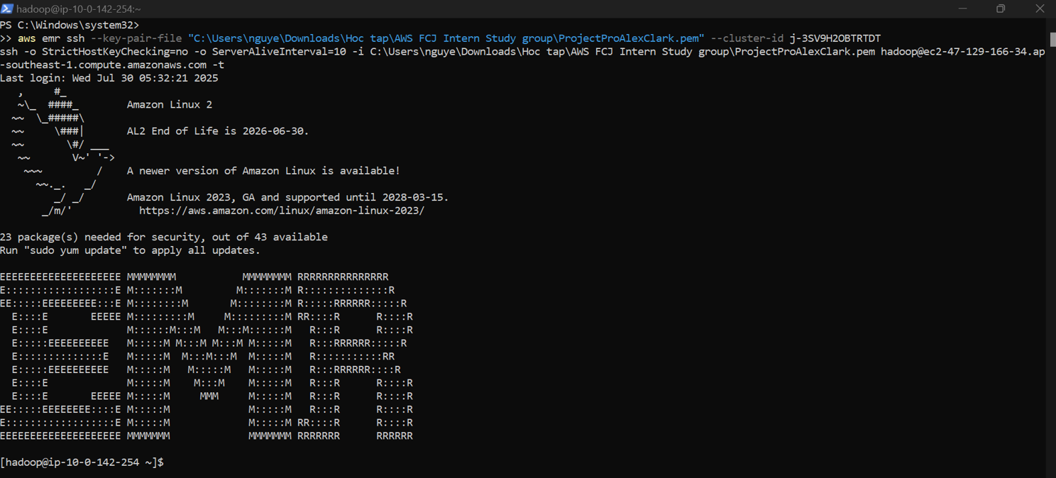 Whitelist IP to access EMR